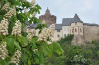 Castle Mildenstein 10 Outside